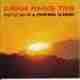 SOFTLY AS IN A MORNING SUNRISE/JUNIOR MANCE